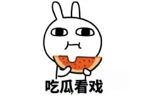 娱乐吃瓜鹅君,揭秘娱乐圈那些不为人知的幕后故事